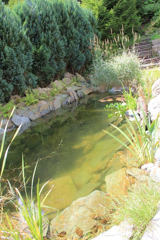 Asika Villa Josefŭv Dŭl Dış mekan fotoğraf