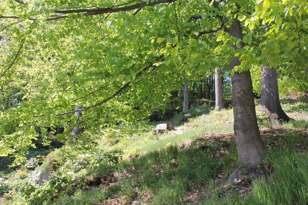 Asika Villa Josefŭv Dŭl Dış mekan fotoğraf