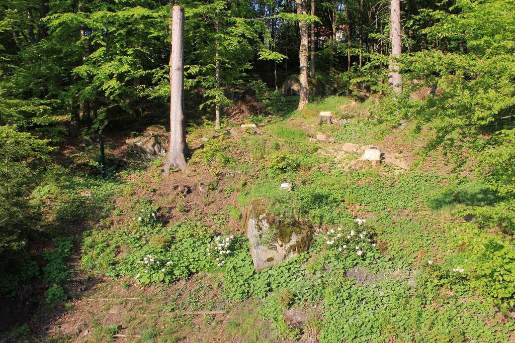Asika Villa Josefŭv Dŭl Dış mekan fotoğraf